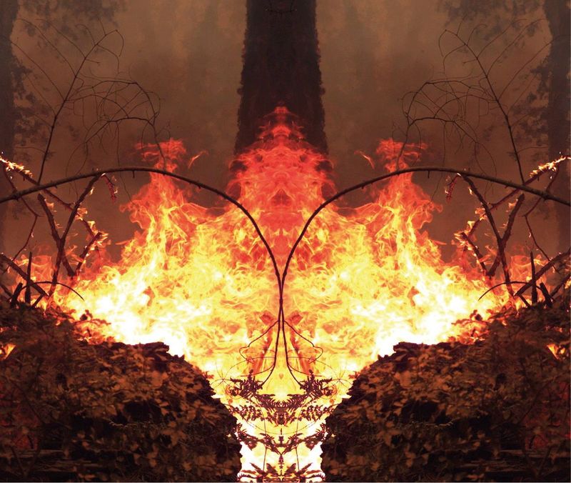 Julius von Bismarck, Thank You Firefighters (Ausschnitt), 2019/2020, Video still, Courtesy the artist; alexander levy, Berlin; Sies+Höke, Düsseldorf and Marlborough Gallery, London/New York © the artist / VG Bild-Kunst, Bonn 2019